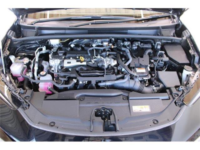 プリウス(新潟県新潟市東区)