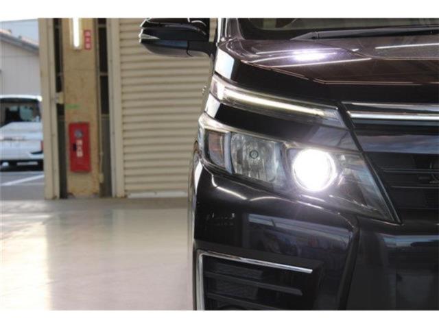 ヴォクシー(新潟県新潟市東区)