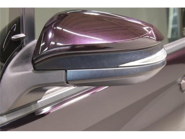 ヴォクシー(新潟県新潟市東区)