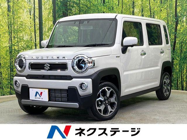 ハスラー（新潟県新潟市南区）