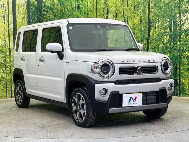 ハスラー(新潟県新潟市南区)