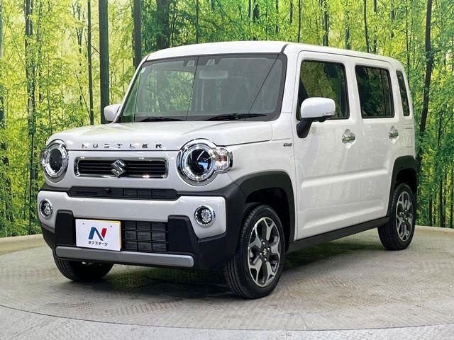 ハスラー(新潟県新潟市南区)