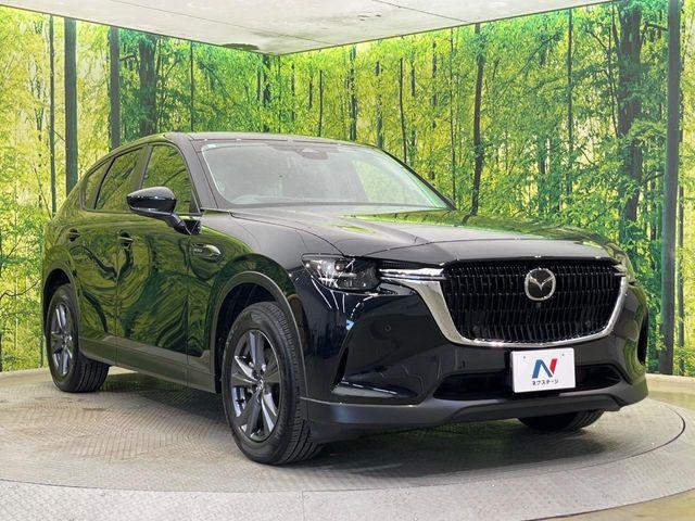 CX-60（新潟県新潟市南区）画像16