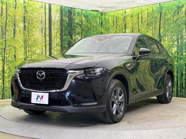 CX-60（新潟県新潟市南区）画像21