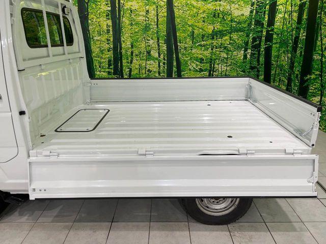 キャリイトラック(新潟県長岡市)