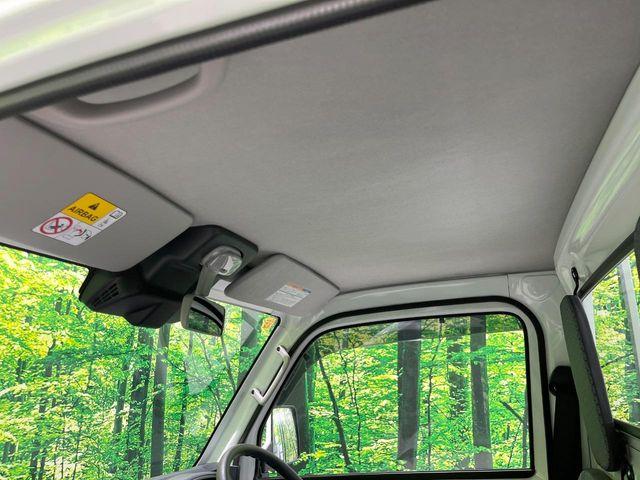 キャリイトラック(新潟県長岡市)