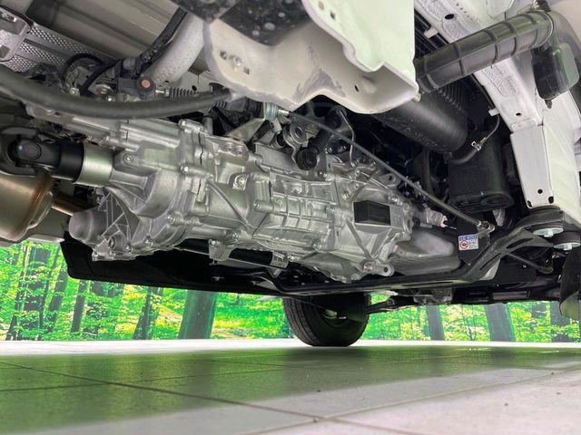 キャリイトラック(新潟県長岡市)