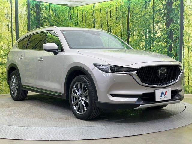 CX-8（新潟県新潟市南区）