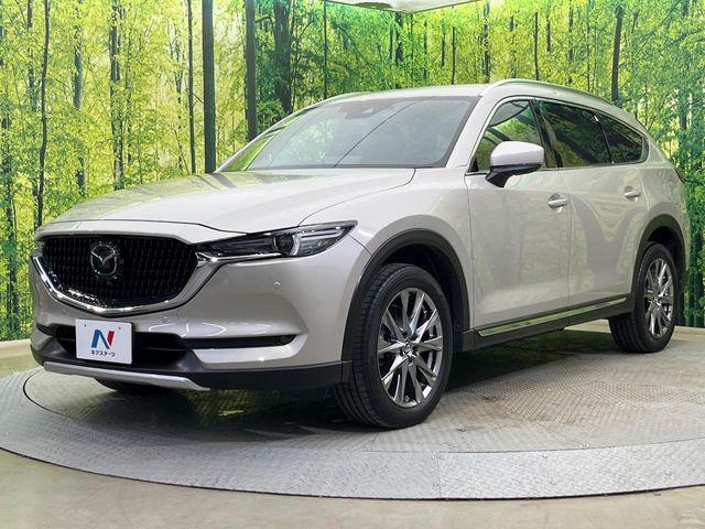 CX-8（新潟県新潟市南区）