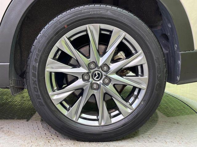 CX-8（新潟県新潟市南区）