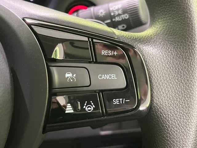 ヴェゼル(新潟県長岡市)