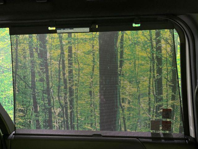 ノア(新潟県長岡市)