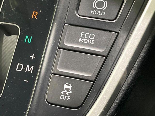 ノア(新潟県長岡市)