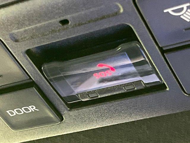 ノア(新潟県長岡市)