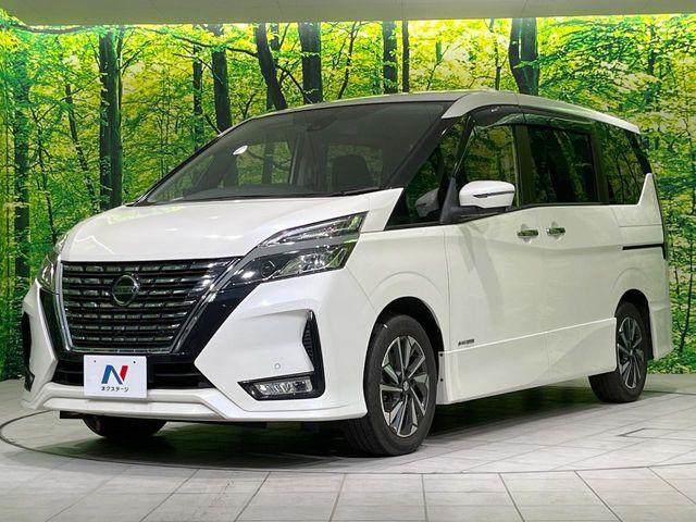 セレナ(新潟県長岡市)