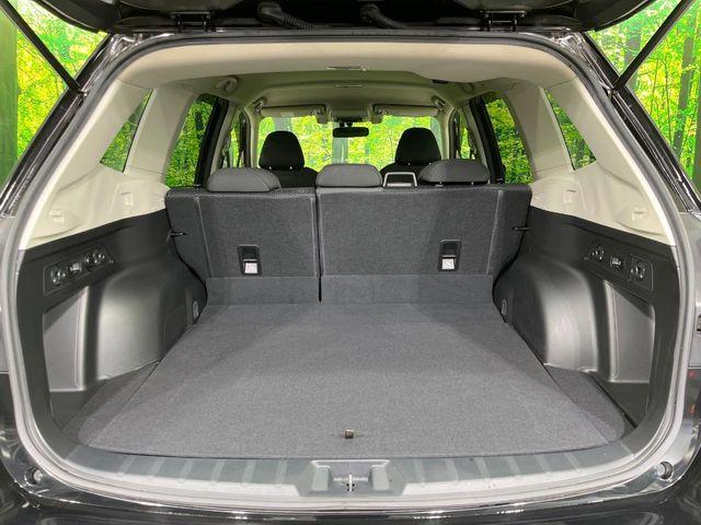 フォレスター(新潟県長岡市)