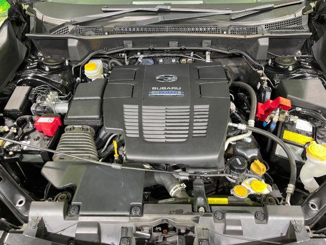 フォレスター(新潟県長岡市)