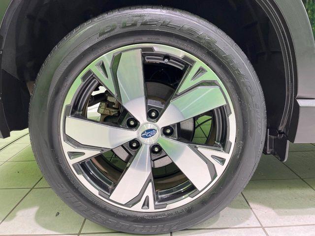 フォレスター(新潟県長岡市)