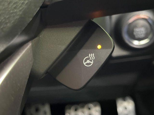 フォレスター(新潟県長岡市)