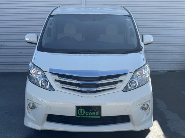 アルファード(新潟県新潟市西区)