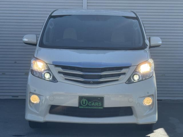 アルファード(新潟県新潟市西区)