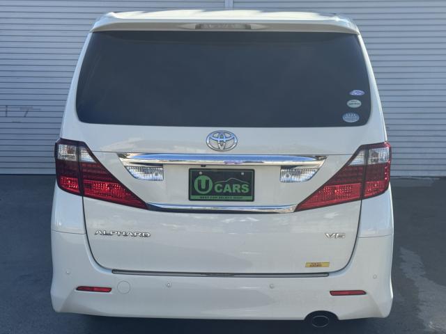 アルファード(新潟県新潟市西区)