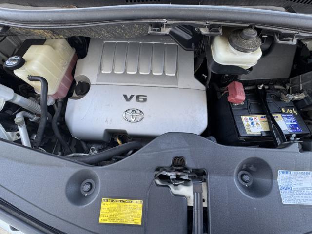 アルファード(新潟県新潟市西区)