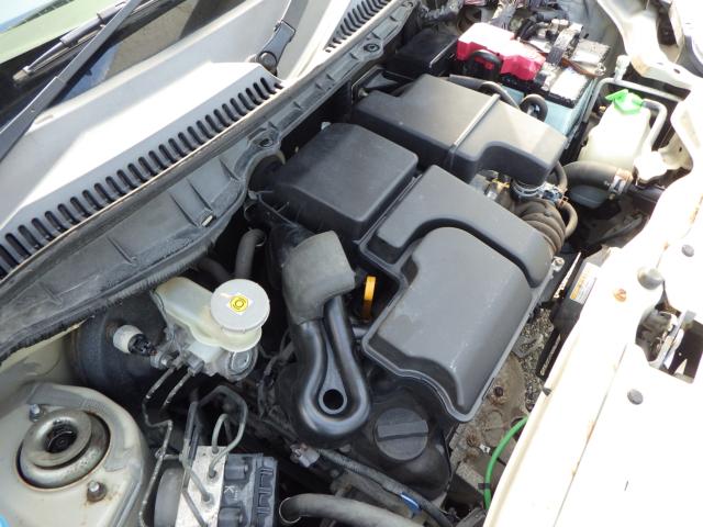 ピノ（新潟県新潟市中央区）