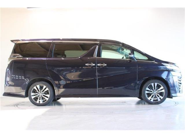 ヴェルファイア(新潟県新潟市東区)