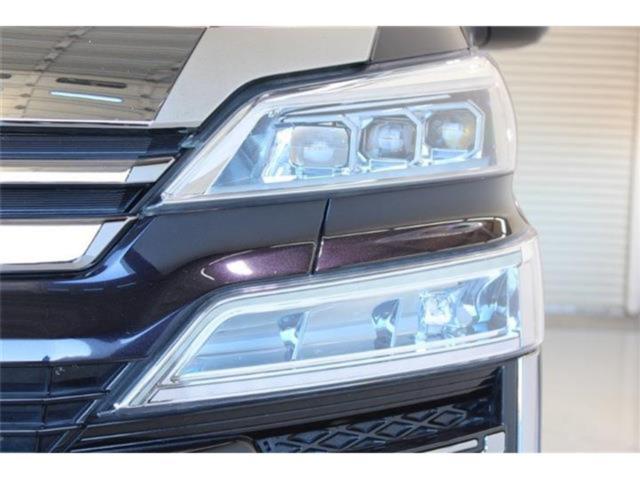 ヴェルファイア(新潟県新潟市東区)