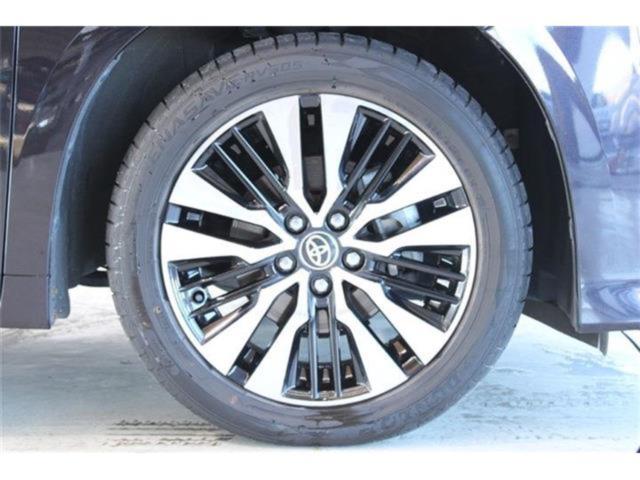 ヴェルファイア(新潟県新潟市東区)