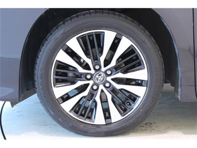 ヴェルファイア(新潟県新潟市東区)