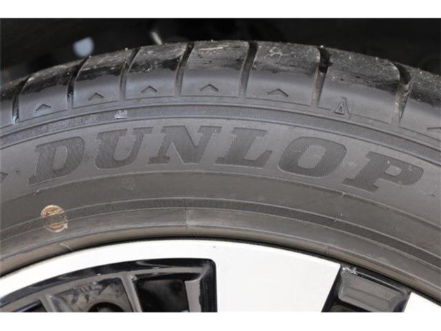 ヴェルファイア(新潟県新潟市東区)