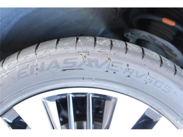 ヴェルファイア(新潟県新潟市東区)