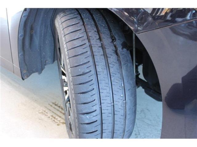 ヴェルファイア(新潟県新潟市東区)