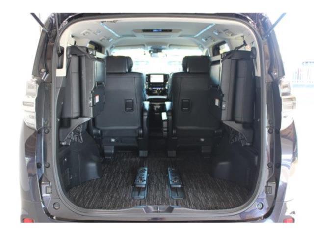 ヴェルファイア(新潟県新潟市東区)