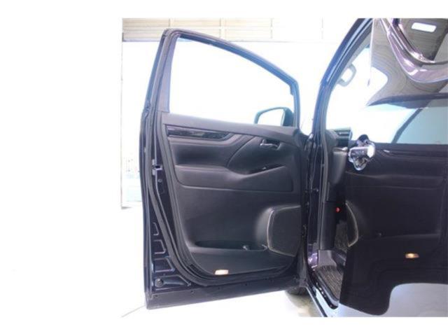 ヴェルファイア(新潟県新潟市東区)