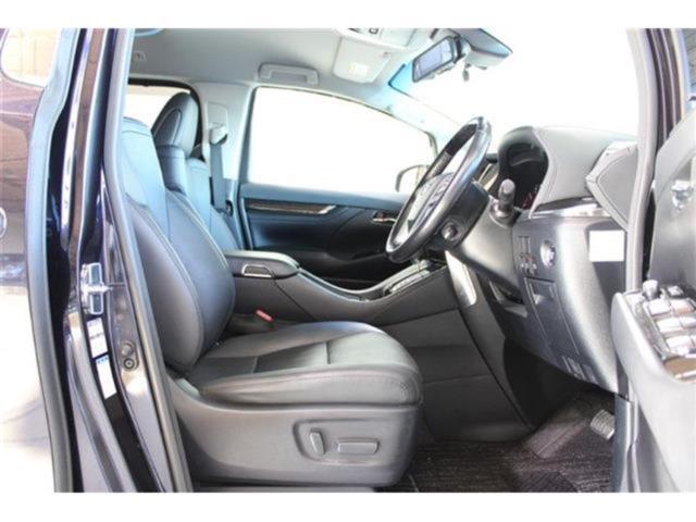 ヴェルファイア(新潟県新潟市東区)