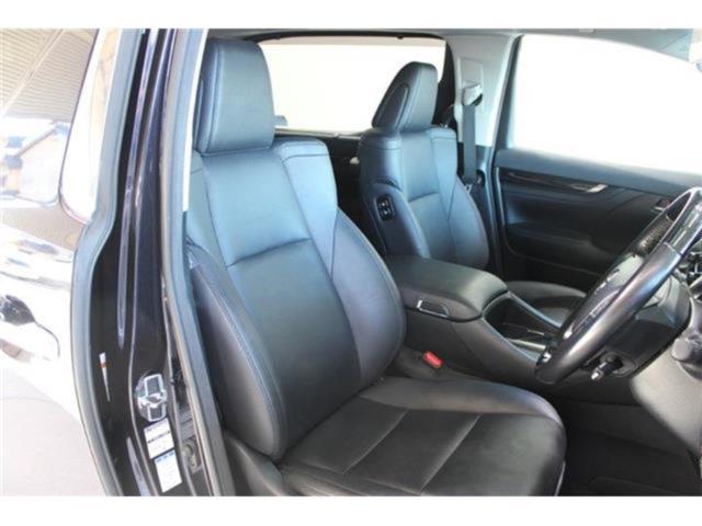 ヴェルファイア(新潟県新潟市東区)