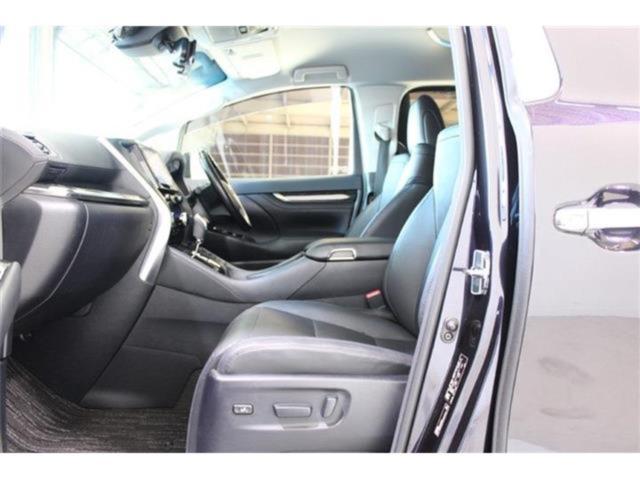 ヴェルファイア(新潟県新潟市東区)