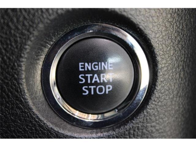 ヴェルファイア(新潟県新潟市東区)