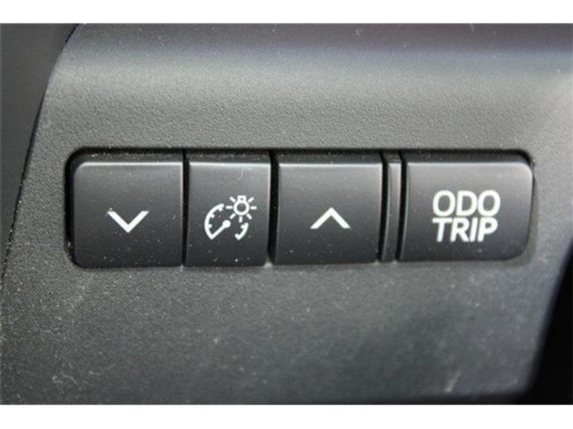 ヴェルファイア(新潟県新潟市東区)