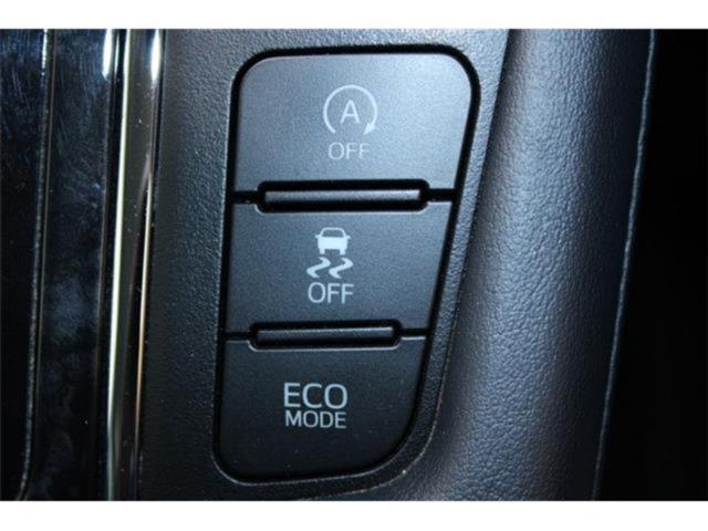 ヴェルファイア(新潟県新潟市東区)