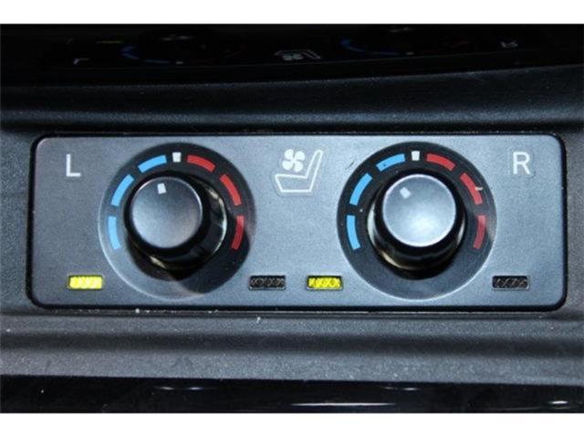 ヴェルファイア(新潟県新潟市東区)