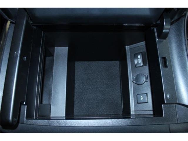 ヴェルファイア(新潟県新潟市東区)