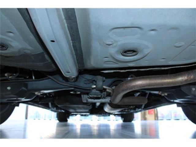 ヴェルファイア(新潟県新潟市東区)