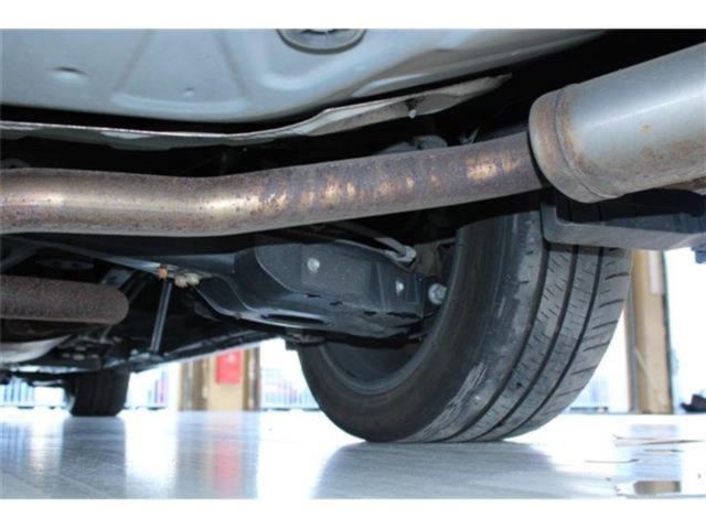 ヴェルファイア(新潟県新潟市東区)