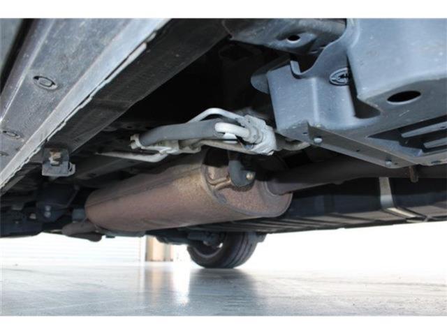 ヴェルファイア(新潟県新潟市東区)