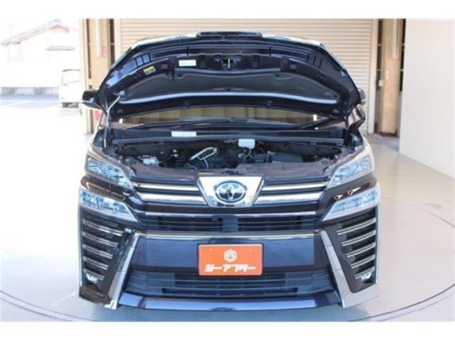 ヴェルファイア(新潟県新潟市東区)