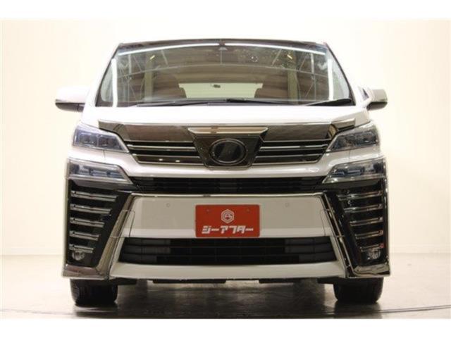 ヴェルファイア(新潟県新潟市東区)